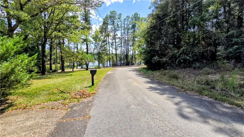 A paved driveway leads down toward the scenic lakefront bordered by mature trees.