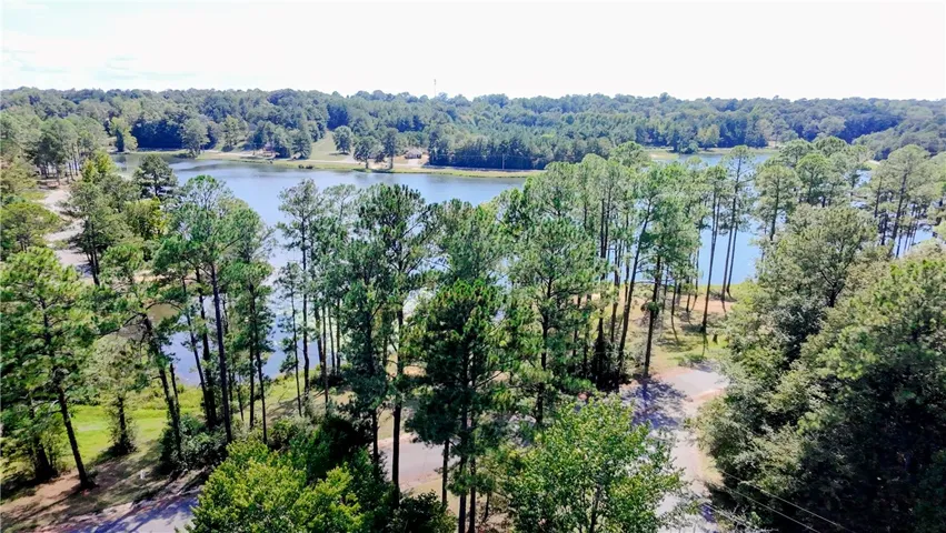 Towering pines frame a peaceful lake vista extending to the distant tree-lined horizon.