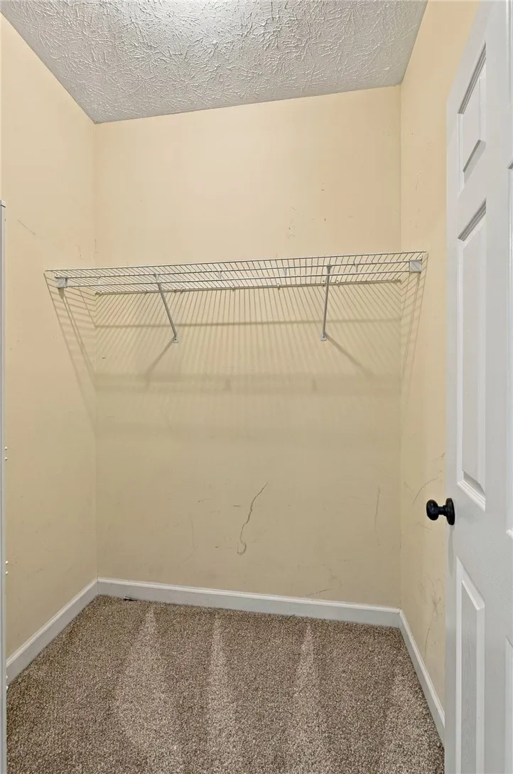 An accommodating walk-in storage area features wall-mounted wire shelving and soft underfoot carpeting.
