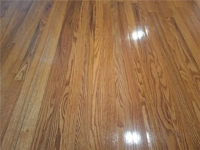 Richly grained wood flooring gleams under natural light reflections throughout the space.