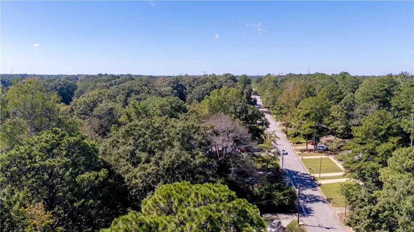 Mature trees line the quiet neighborhood street under a clear blue sky.