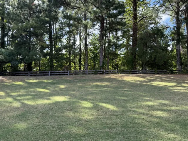 Towering pines and a wooden fence frame this level lawn area.