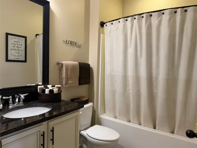 A classic tub and shower combination sits adjacent to a dark stone vanity top.