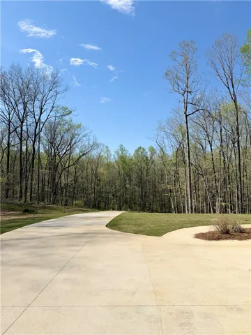 A long concrete driveway winds past manicured lawns toward a dense border of mature trees.