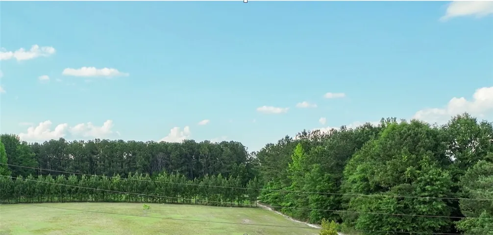 Lush mature trees border a wide grassy field under an open sky.