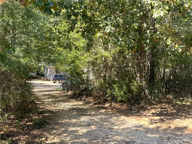 A secluded dirt driveway winds through dense, mature trees toward a private home site.