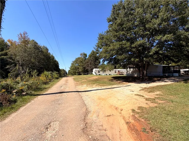Mature trees shade a peaceful dirt road leading up to the quiet residential structures.