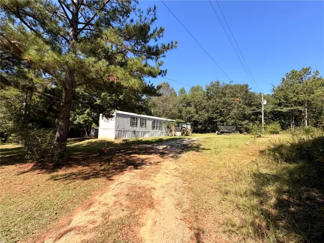 A dirt driveway leads toward a secluded residence surrounded by mature pine trees.