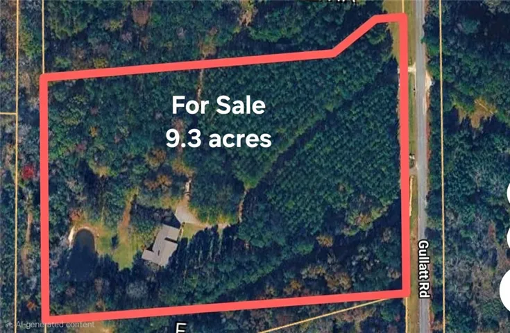 An aerial perspective outlines the expansive, heavily wooded property parcel with road frontage.