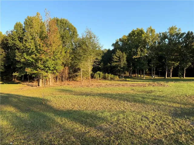 Mature trees frame a wide grassy clearing under a clear blue sky.