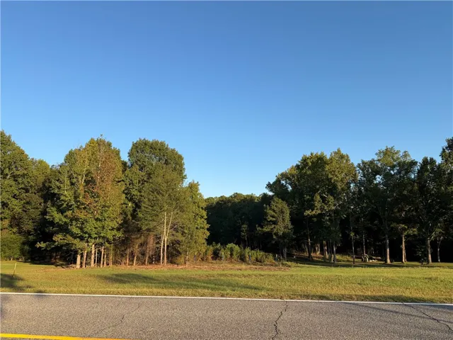 Mature trees frame a grassy building site along a paved road.