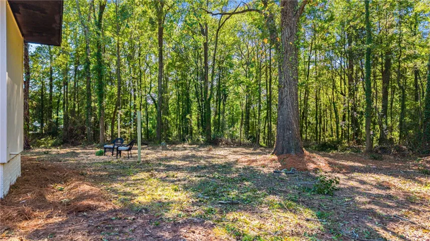 Wooded view & space to play