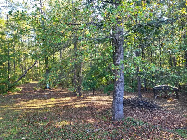 1085 County Road 501 N/a, Valley, Alabama 36854