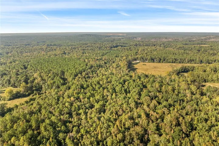 An aerial perspective showcases vast, densely forested acreage stretching toward a distant horizon under blue skies.
