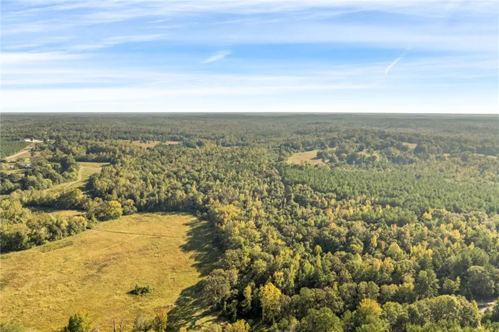 Lush rolling forests and open pastures stretch toward a vast horizon under blue skies.