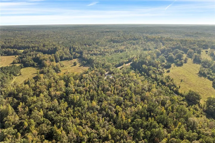 Dense woodlands stretch toward the horizon under a clear blue sky.