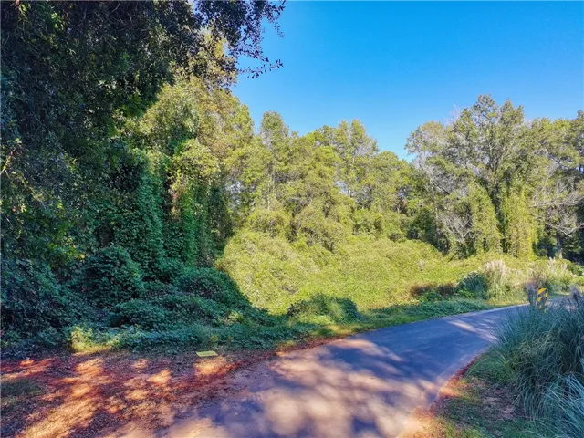 0 Fob James Drive, Valley, Alabama 36854