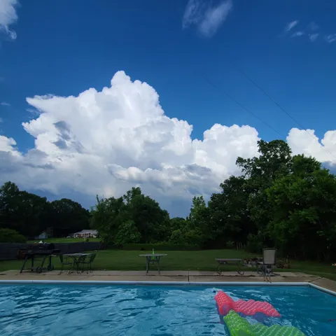 Mature trees frame a spacious grassy lawn bordering a private swimming pool.