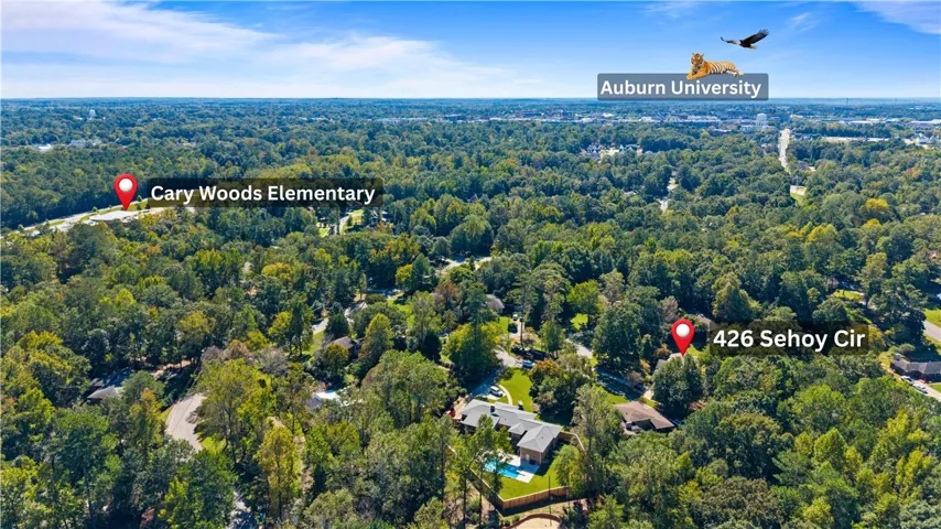 An aerial perspective showcases the property nestled within a lush, mature canopy of trees.