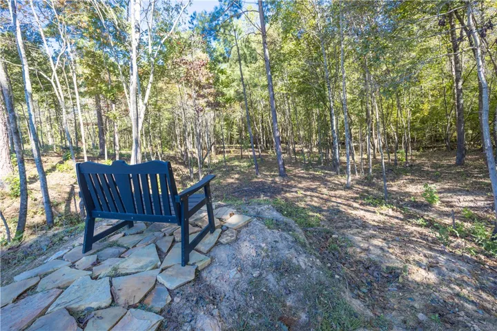 Mature trees surround a natural clearing, offering a quiet retreat in the backyard.