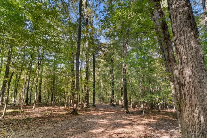 Towering mature trees frame a peaceful dirt path on this wooded lot.