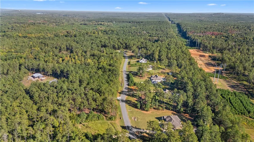 Mature woodlands frame a quiet country lane winding through an established residential enclave.
