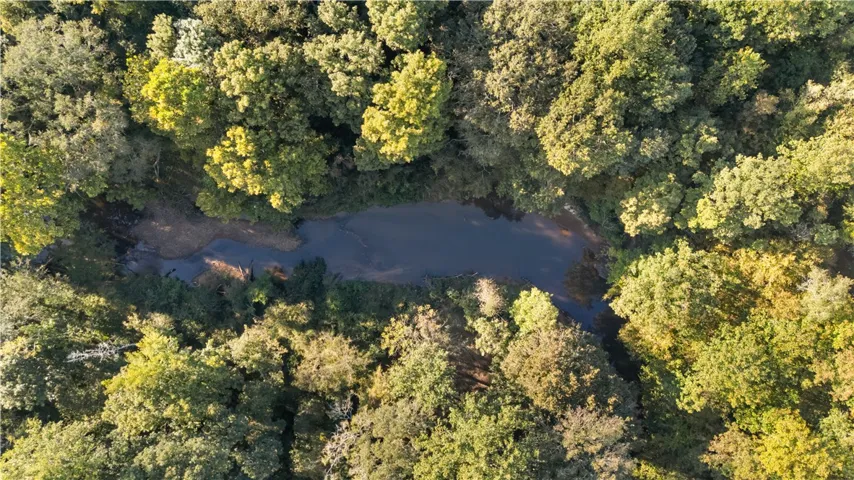 A tranquil natural stream flows peacefully through a dense canopy of mature woodland trees.