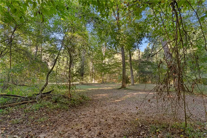 Mature trees frame a peaceful clearing perfect for outdoor recreation or future home plans.