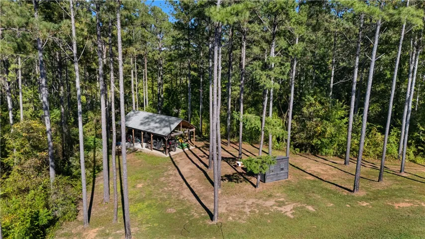 Towering pines surround a covered outbuilding and storage shed on this private wooded clearing.