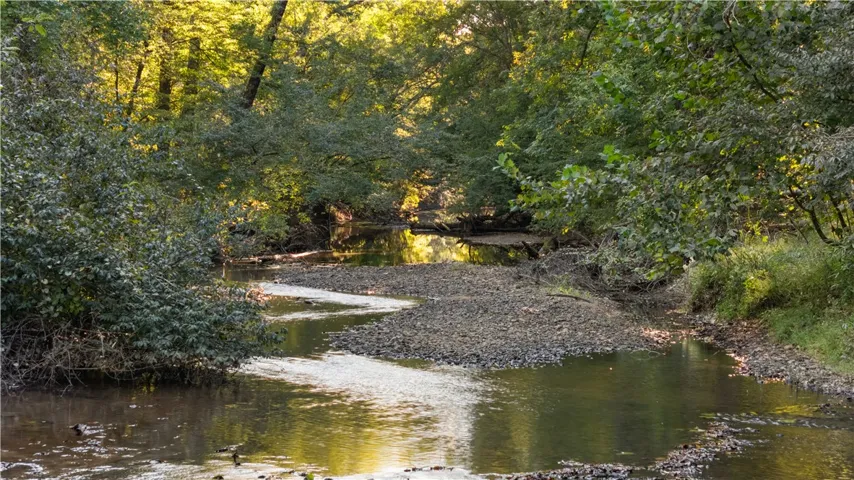 A tranquil, winding stream flows gently through a dense canopy of mature trees.