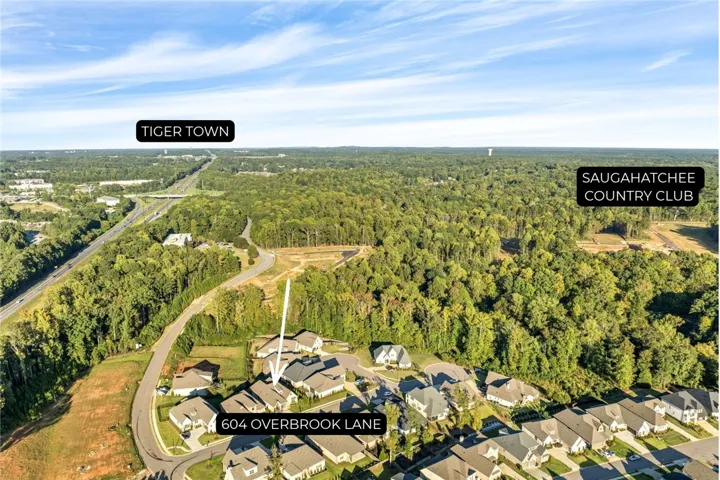 An aerial perspective captures the neighborhood nestled against expansive woodlands.