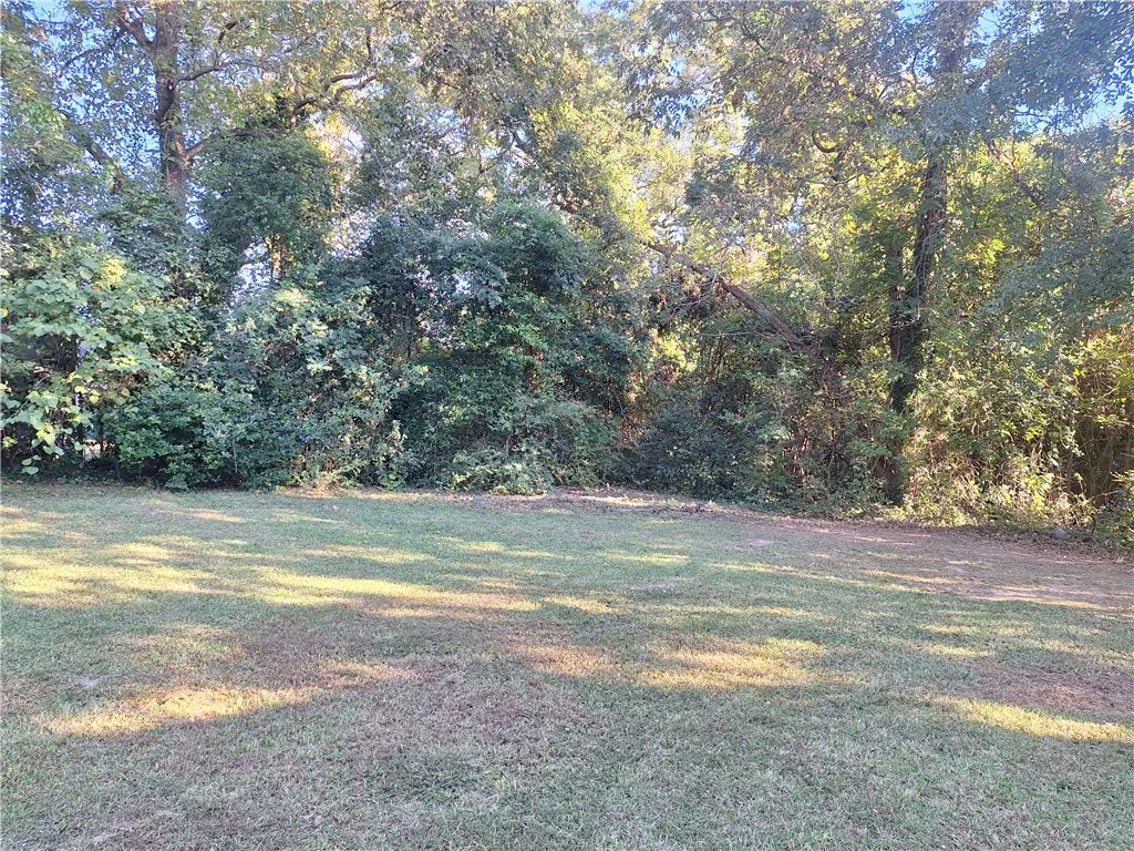 Mature trees frame a grassy lawn offering natural privacy and potential.