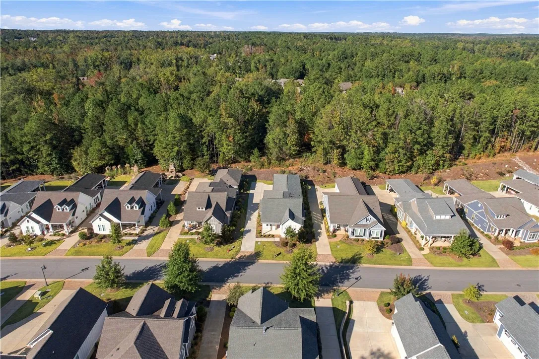 Aerial view highlights a quiet residential street bordered by a dense forest canopy.