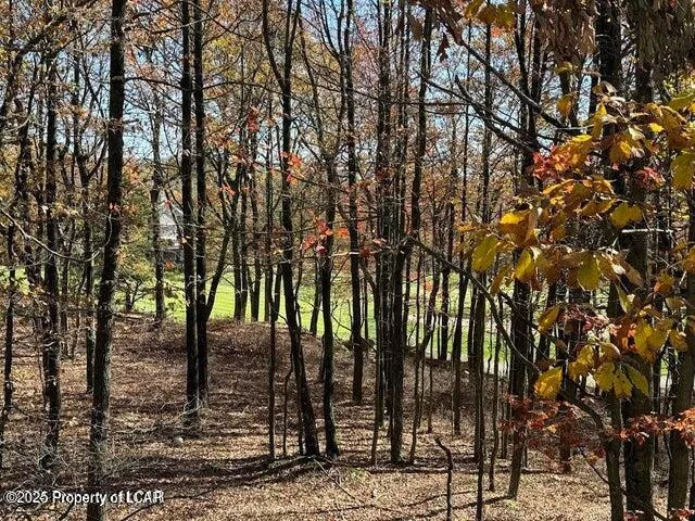 23 Pine Valley Lane, Hazle Twp, Pa 18202, 4 Bedrooms Bedrooms, 10 Rooms Rooms,5 BathroomsBathrooms,Residential,For Sale,PINE VALLEY,25-1885