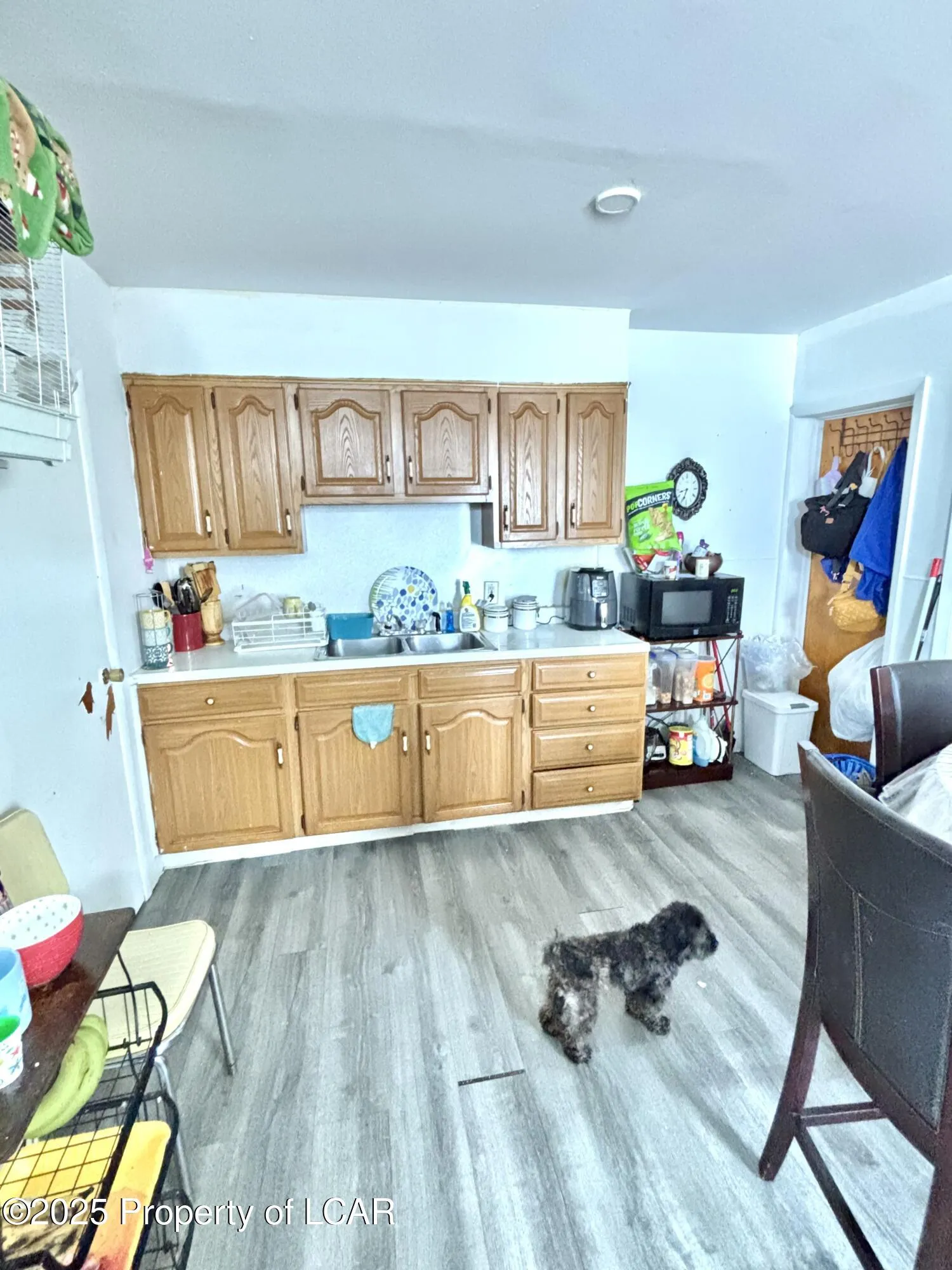 170 Holland Street, Wilkes-Barre, PA 18702, 3 Bedrooms Bedrooms, 7 Rooms Rooms,1 BathroomBathrooms,Residential,For Sale,Holland,25-3154