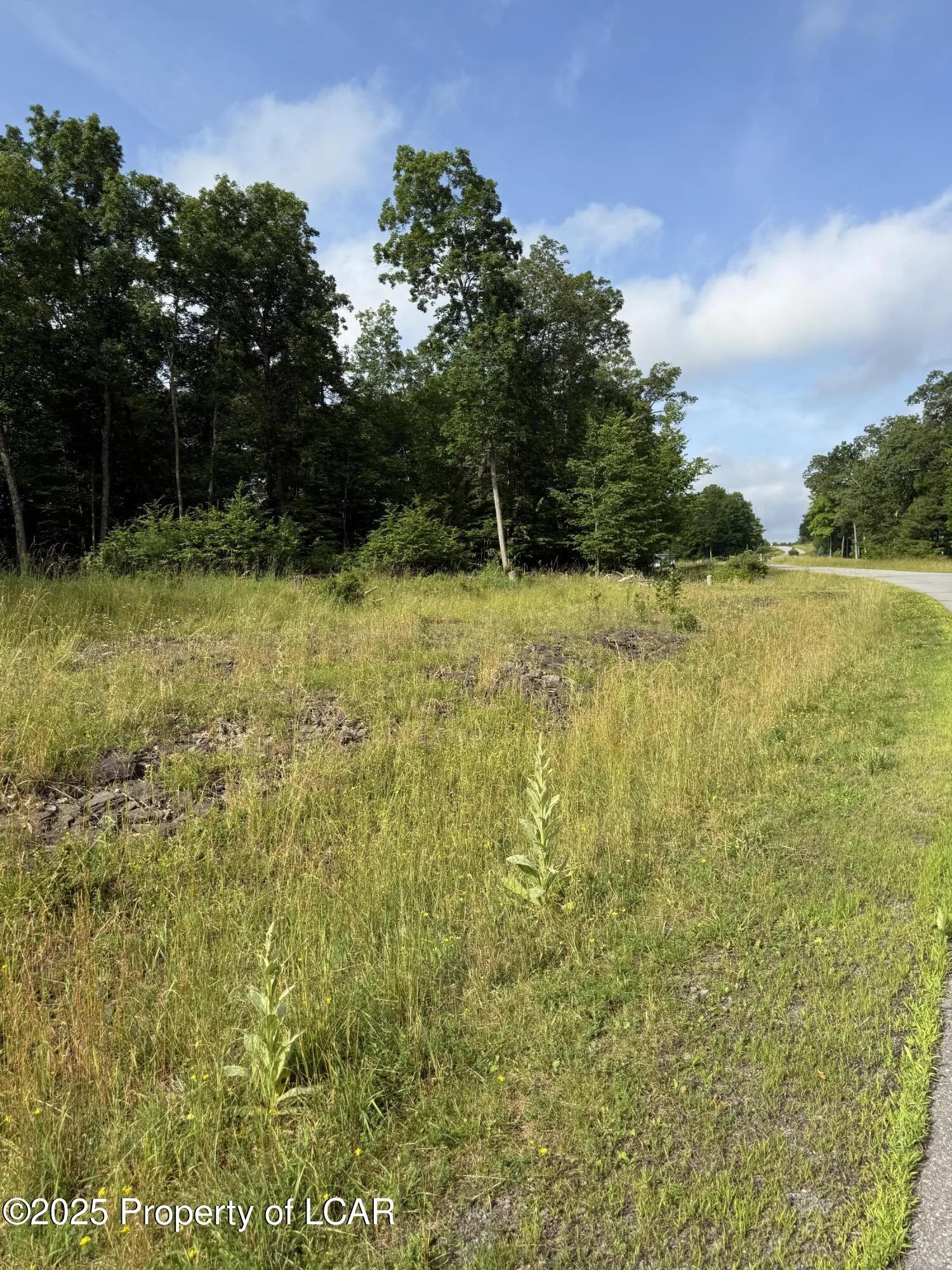 94 Scenicview, Dallas, PA 18612, ,Land,For Sale,Scenicview,25-3157