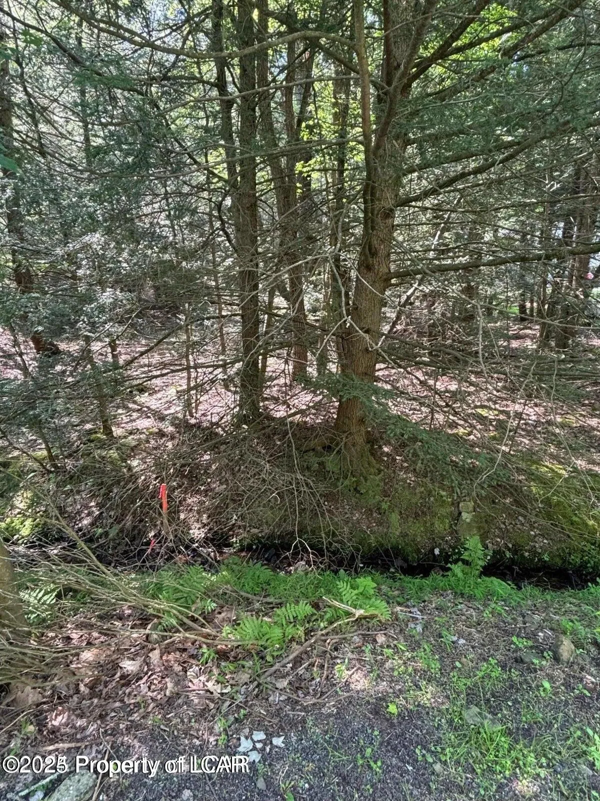 Drums, PA 18222, ,Land,For Sale,25-3222