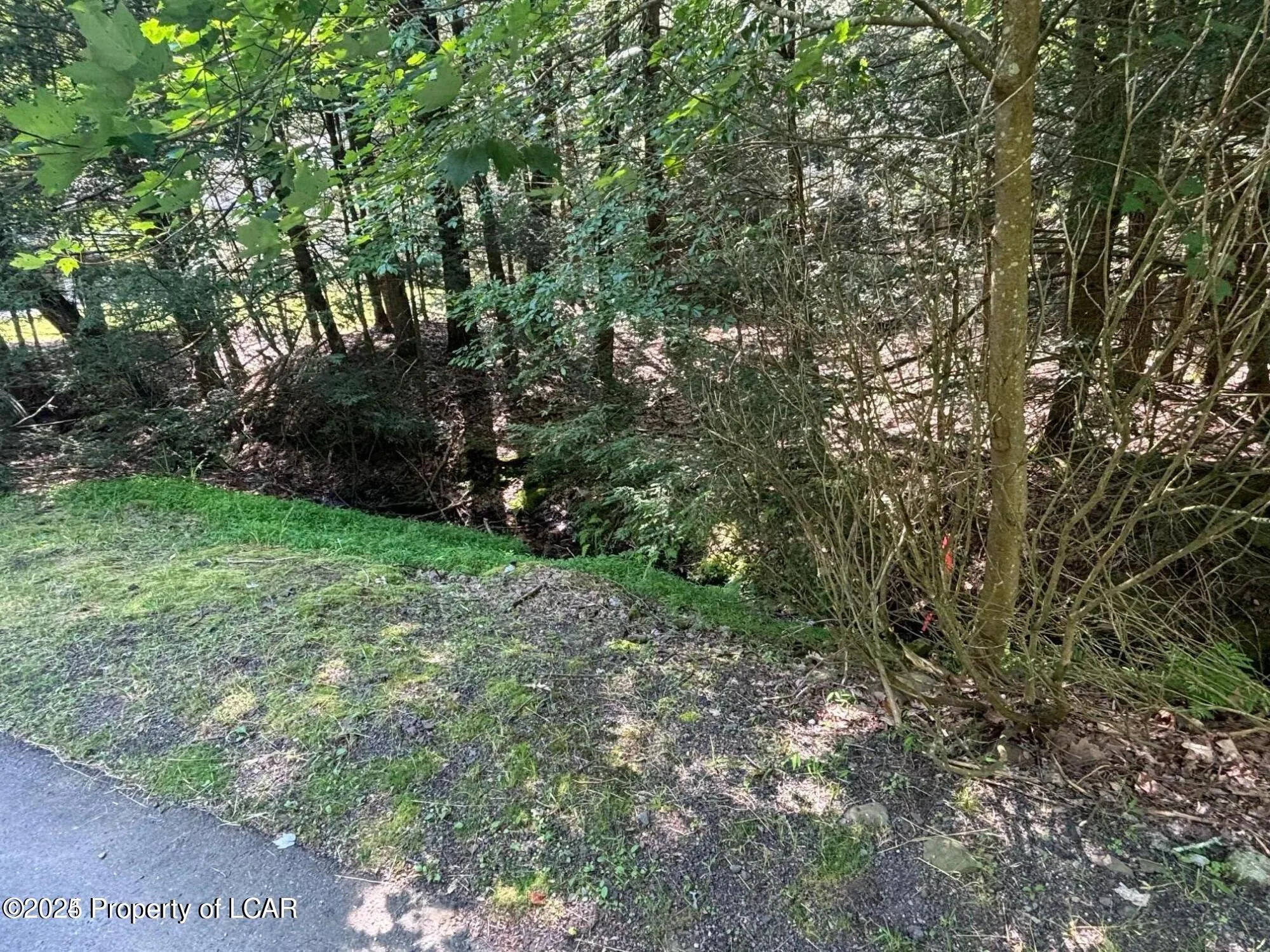 Drums, PA 18222, ,Land,For Sale,25-3222