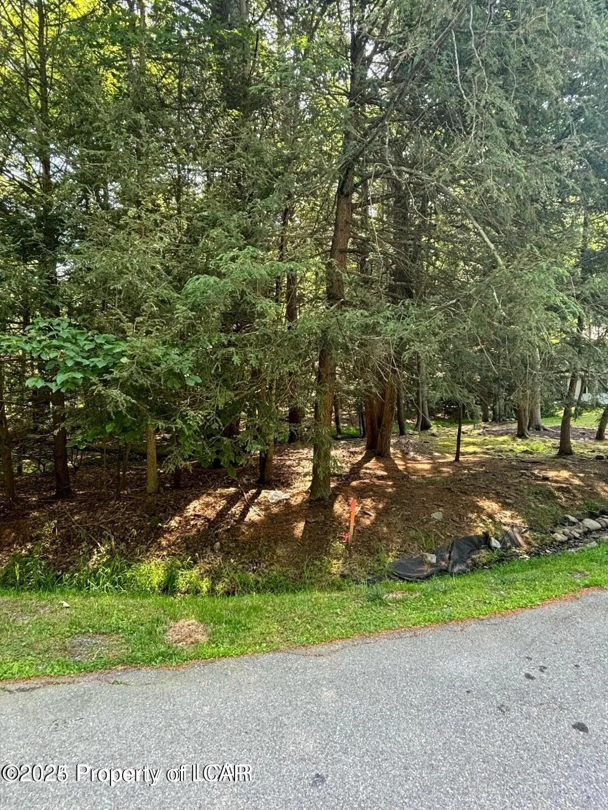 Drums, PA 18222, ,Land,For Sale,25-3222