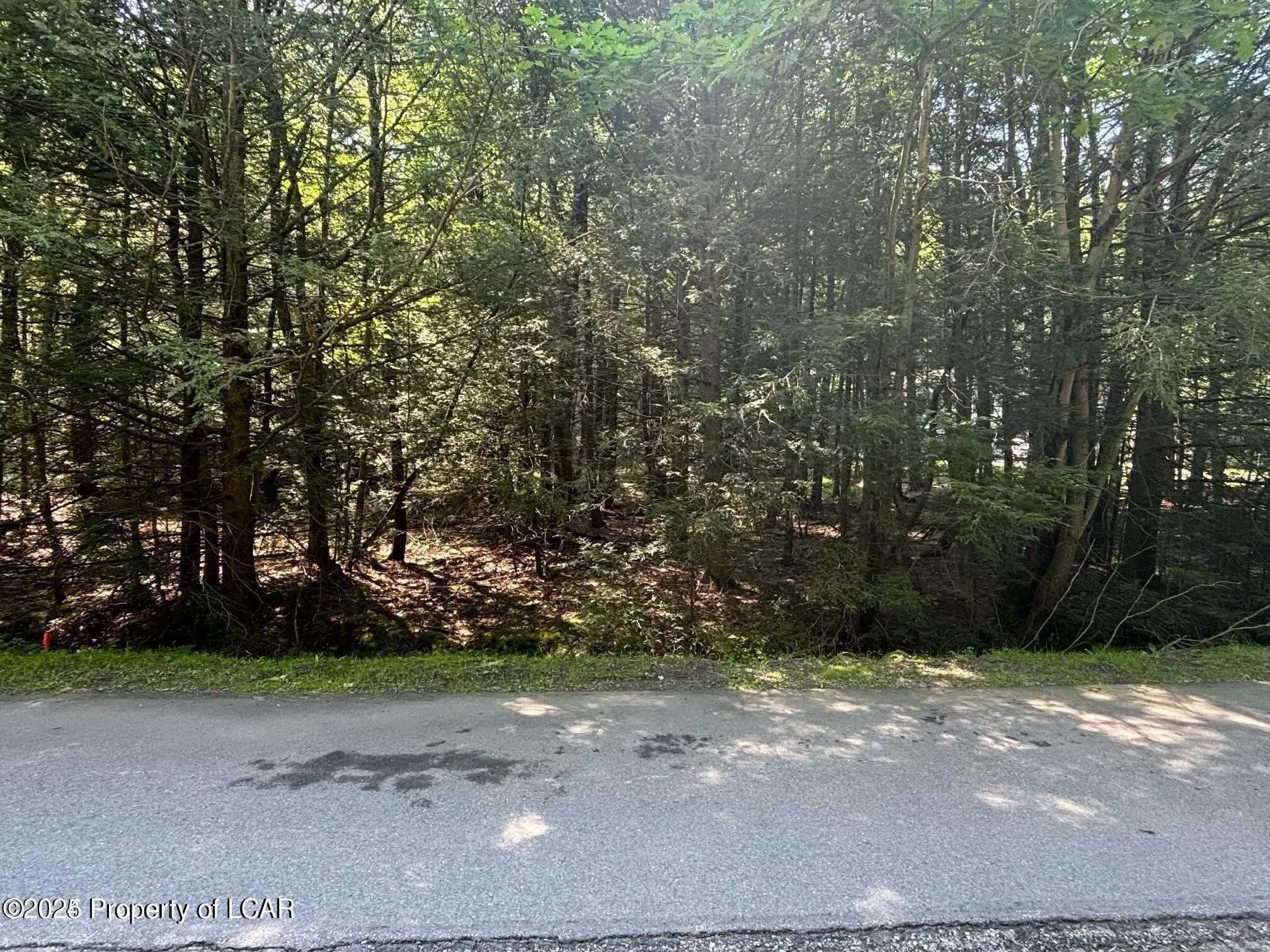 Drums, PA 18222, ,Land,For Sale,25-3222
