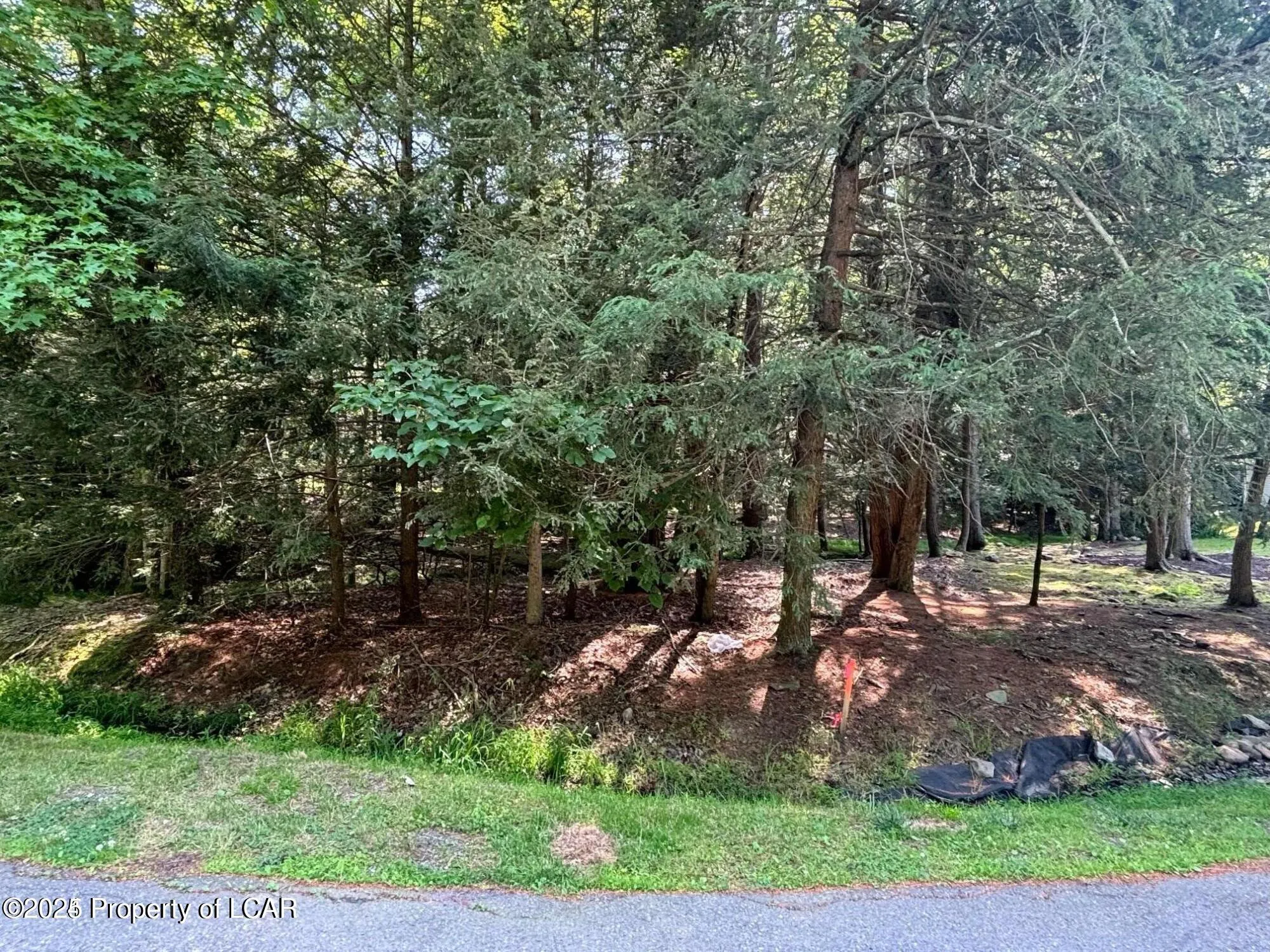 Drums, PA 18222, ,Land,For Sale,25-3222