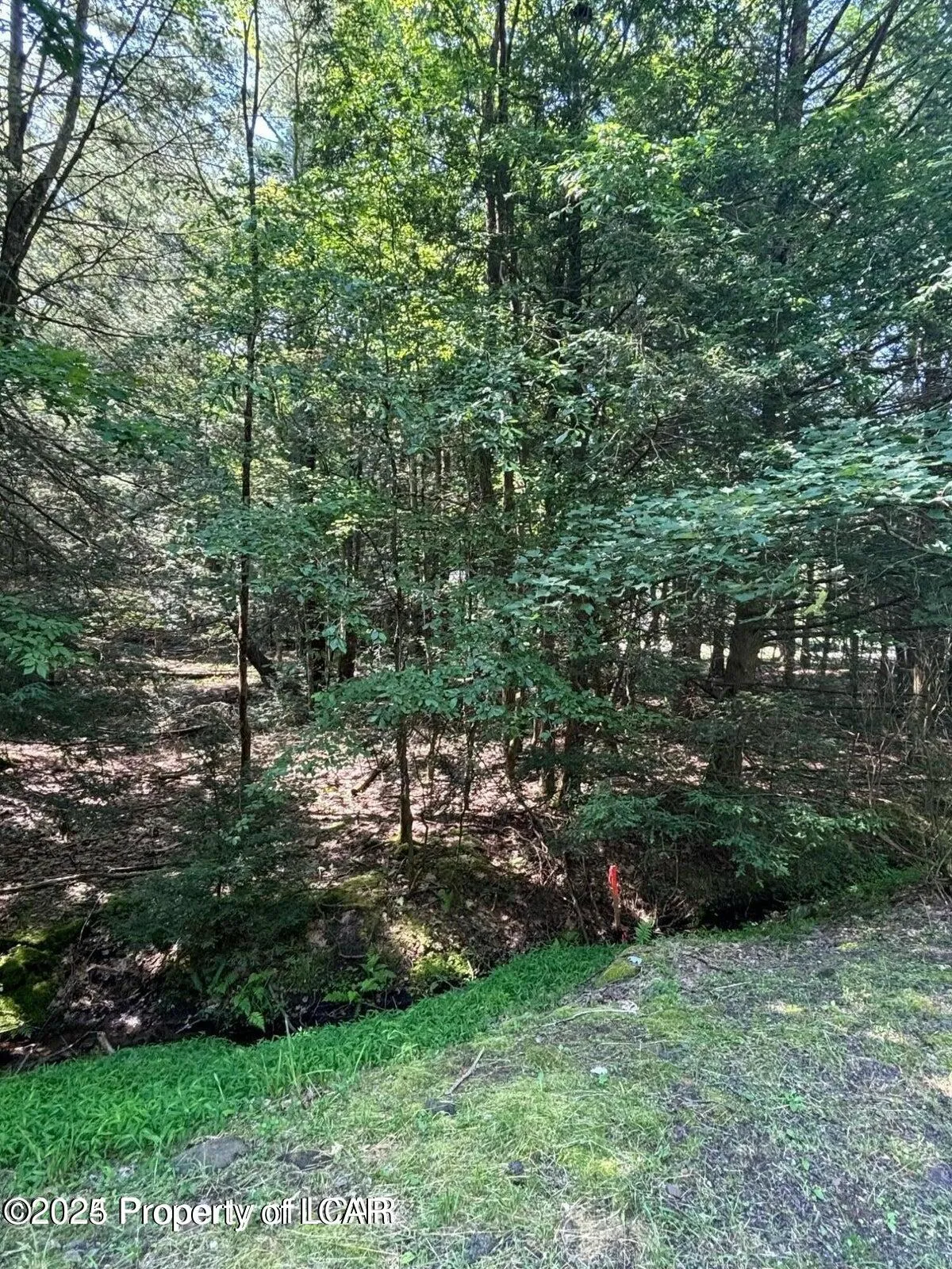 Drums, PA 18222, ,Land,For Sale,25-3222