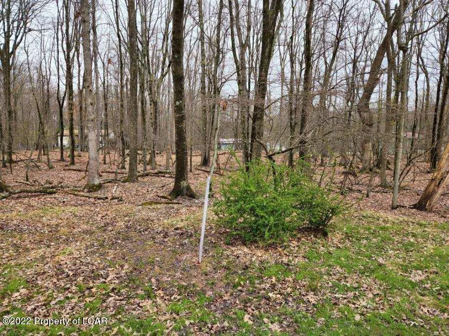 Lot 018 Spring Water Drive, White Haven, PA 18661, ,Land,For Sale,Spring Water,25-3282