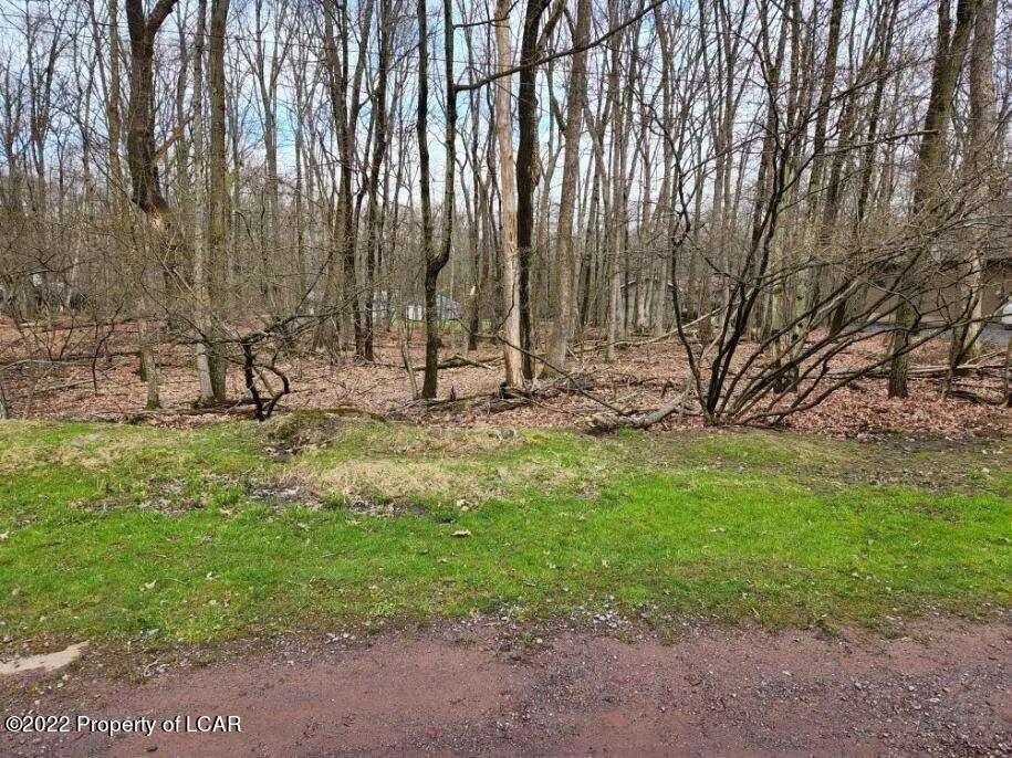 Lot 018 Spring Water Drive, White Haven, PA 18661, ,Land,For Sale,Spring Water,25-3282
