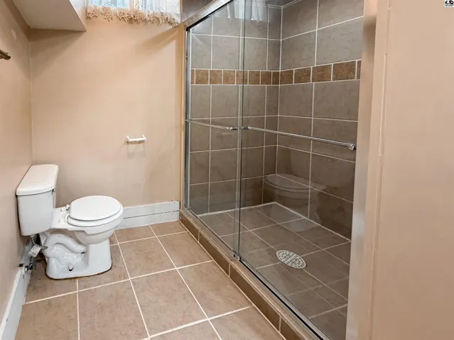 Basement bathroom