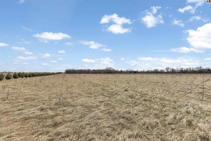 Wind row lines the north side of the property