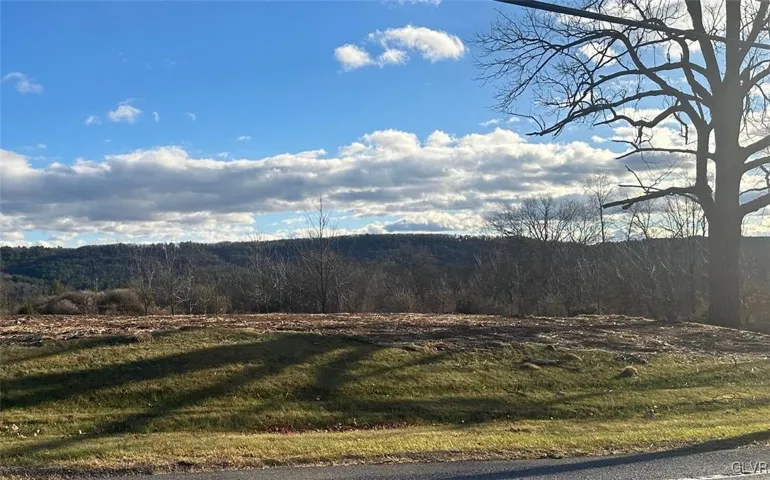 Lot 10 - 1.4 acre lot