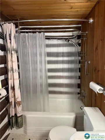 Shower in bath