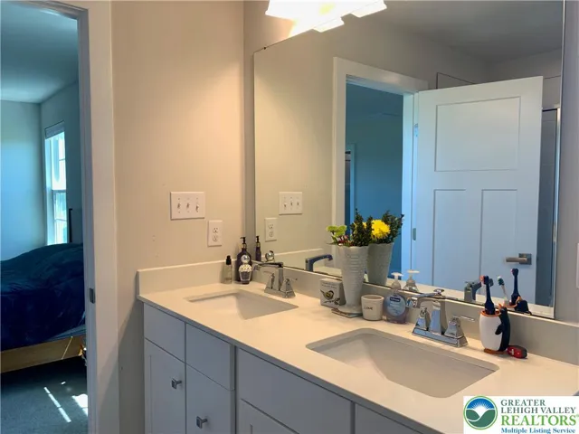 Master bath double sinks and tall vanity