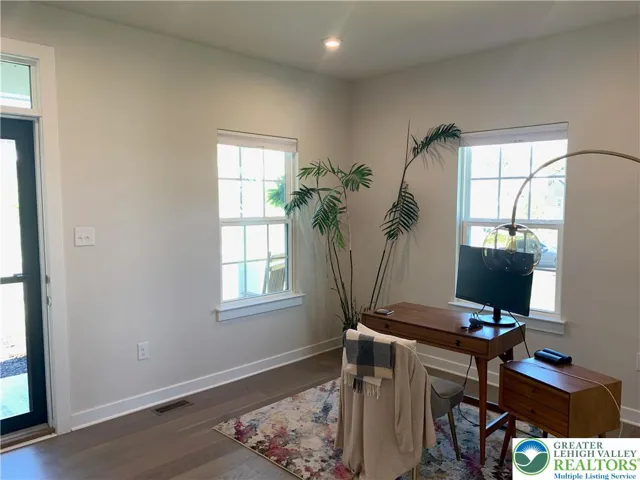 Living room used as office, storm door
